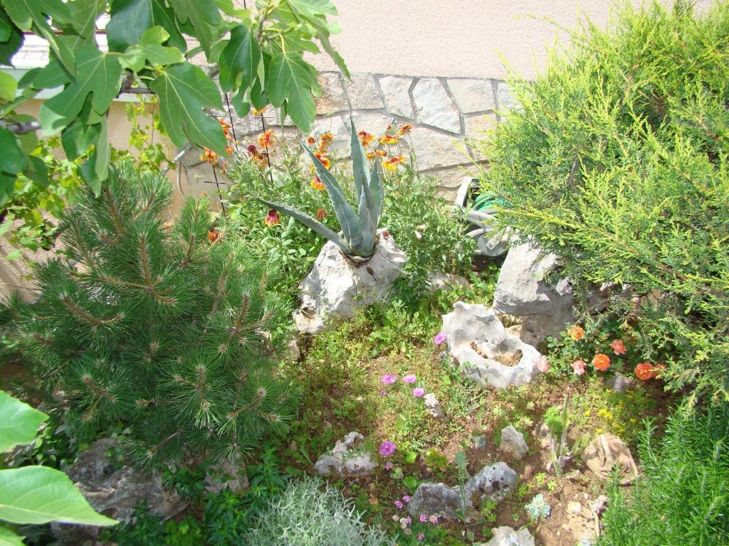 Apartments Melita Crikvenica Δωμάτιο φωτογραφία